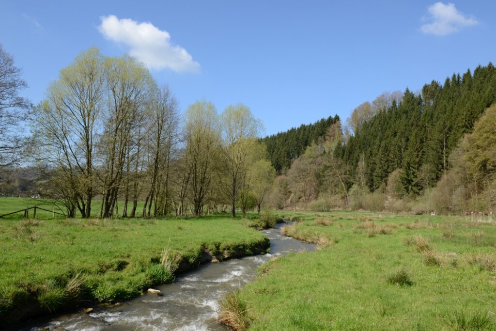 2016 (2)